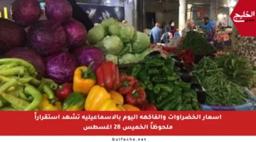 أسعار الخضراوات والفاكهة اليوم بالإسماعيلية تشهد استقراراً ملحوظاً الخميس 28 أغسطس